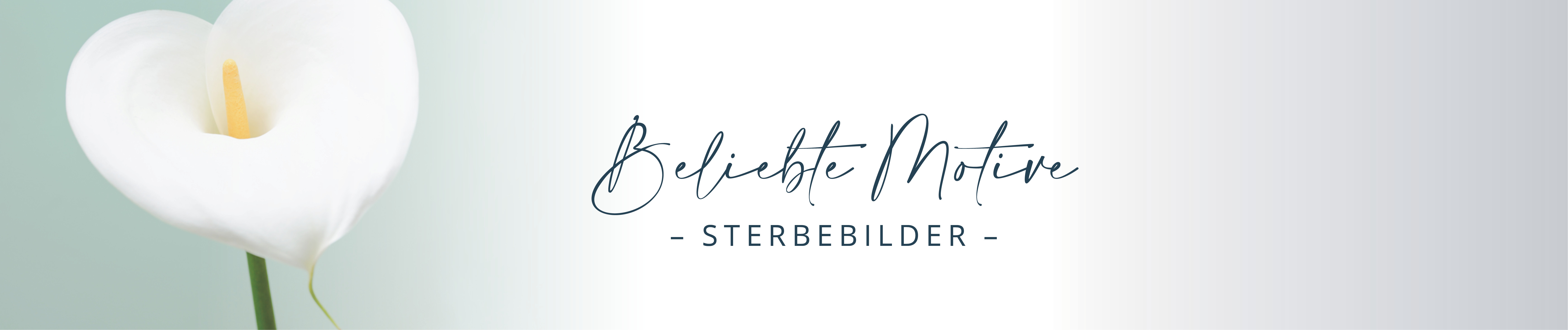 beliebte Motive Banner Sterbebilder