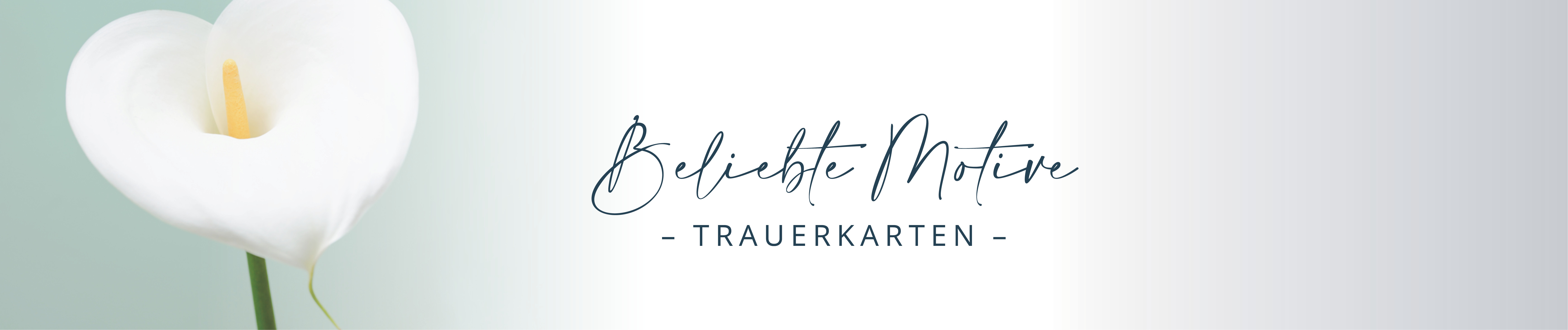 Trauerkarten beliebte Motive Banner